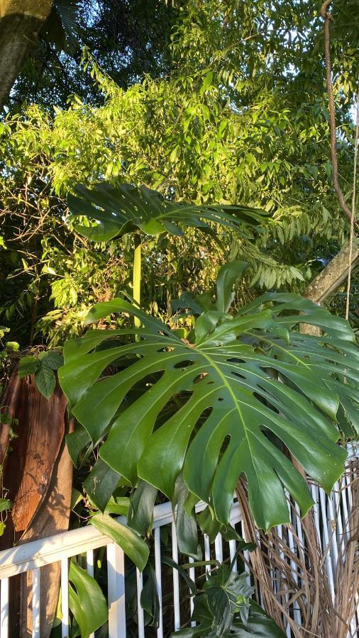 Pousada Vivera Jaraguá do Sul エクステリア 写真